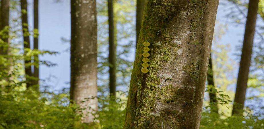 Baumstamm mit Namenschildern